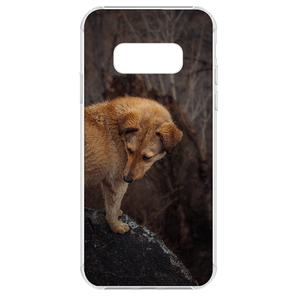 Samsung S10e Picture Case - Clear Bumper